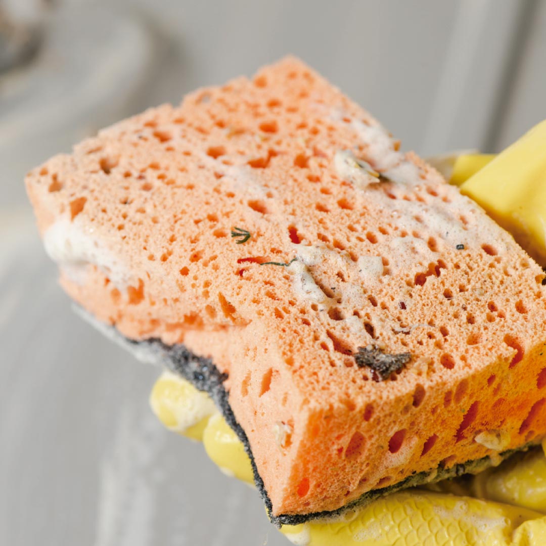 ¡TERROR AL FREGAR!: Las esponjas de cocina son un criadero de bacterias