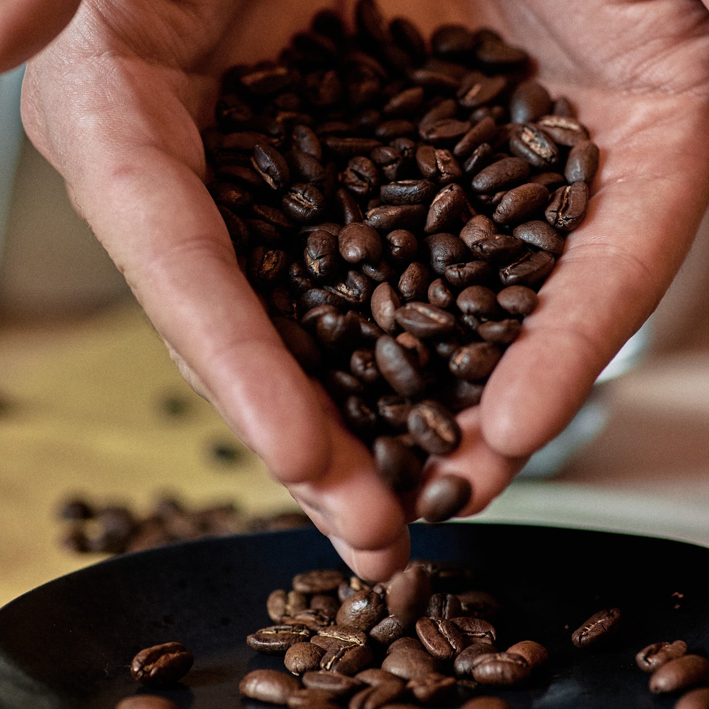5 cosas que debes saber para elegir un café de calidad