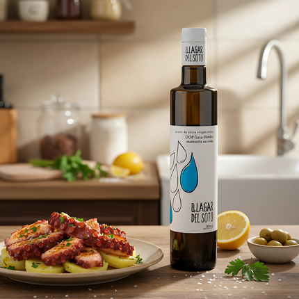 Lagar del Soto Extra Virgin Olive Oil – Manzanilla Cacereña (Chef James' Private Reserve) - Chef James